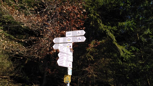 Schwarzwald-Wanderung im Murgtal: Elsbethütte, Dachsstein und Lautenfelsen bei Gernsbach