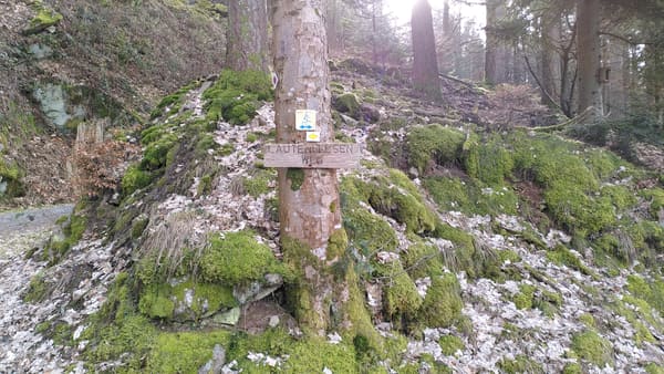 Schwarzwald-Wanderung im Murgtal: Elsbethütte, Dachsstein und Lautenfelsen bei Gernsbach