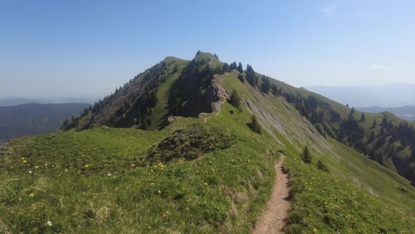 Nagelfluhkette: Gratwanderung vom Hochgrat bis zum Mittag (Allgäu)