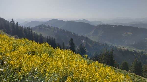 Nagelfluhkette: Gratwanderung vom Hochgrat bis zum Mittag (Allgäu)