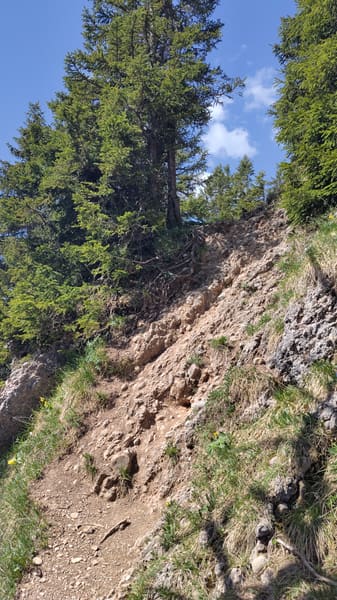 Nagelfluhkette: Gratwanderung vom Hochgrat bis zum Mittag (Allgäu)