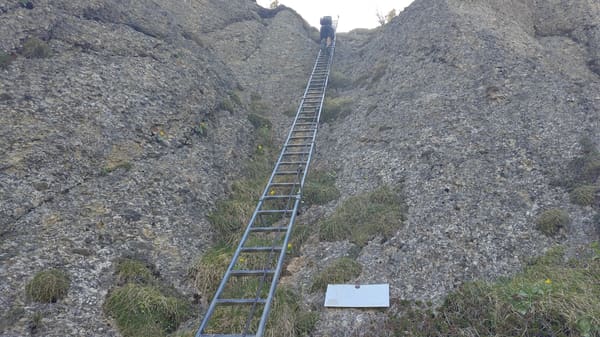 Nagelfluhkette: Gratwanderung vom Hochgrat bis zum Mittag (Allgäu)