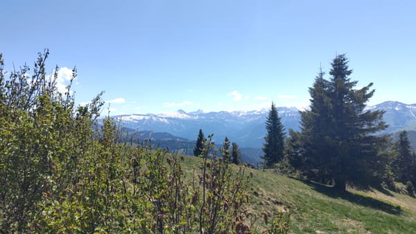 Hüttentour mit Kindern auf der Nagelfluhkette bei Oberstaufen im Allgäu