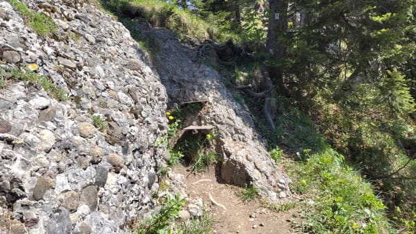 Hüttentour mit Kindern auf der Nagelfluhkette bei Oberstaufen im Allgäu