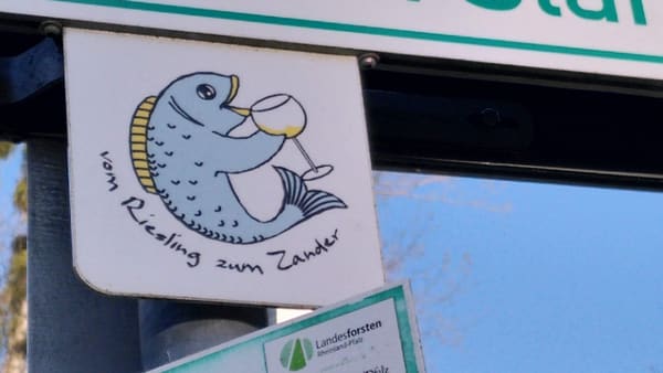 Radtour Pfälzer Wald: 180-km-Tagesrunde von Karlsruhe durch das Dahner Felsenland