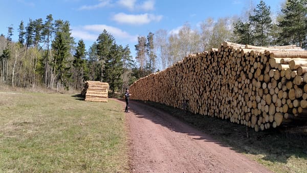Radtour Pfälzer Wald: 180-km-Tagesrunde von Karlsruhe durch das Dahner Felsenland