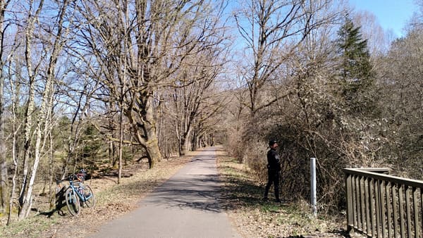 Radtour Pfälzer Wald: 180-km-Tagesrunde von Karlsruhe durch das Dahner Felsenland