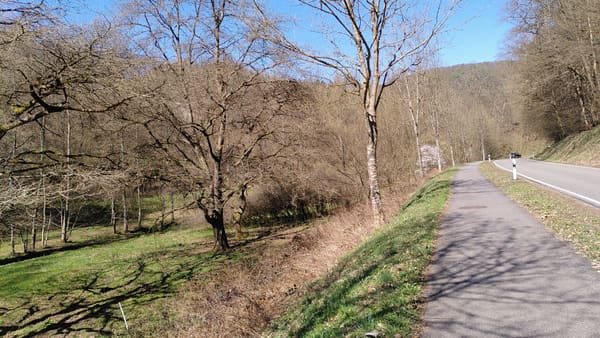 Radtour Pfälzer Wald: 180-km-Tagesrunde von Karlsruhe durch das Dahner Felsenland