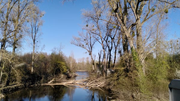 Radtour Pfälzer Wald: 180-km-Tagesrunde von Karlsruhe durch das Dahner Felsenland