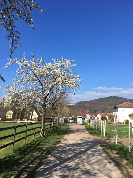 Radtour Pfälzer Wald: 180-km-Tagesrunde von Karlsruhe durch das Dahner Felsenland