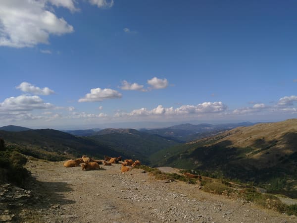 Wanderung auf Sardiniens höchsten Berg: Punta la Marmora
