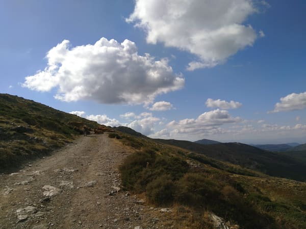 Wanderung auf Sardiniens höchsten Berg: Punta la Marmora