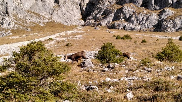 Wanderung im Tannheimer Tal: Nesselwängle – Gimpelhaus – Rote Flüh – Nesselwängler Scharte – Otto-Mayr-Hütte