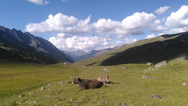 Hüttentour in der Silvretta mit drei Dreitausendern: Ischgl – Heidelberger Hütte – Jamtalhütte – Bielerhöhe