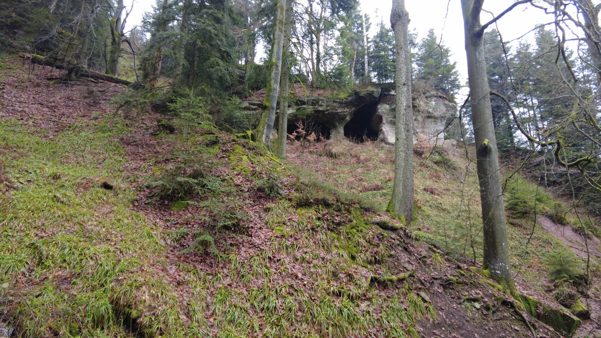 Nordschwarzwald-Wanderung bei Bad Herrenalb über die Teufelsmühle