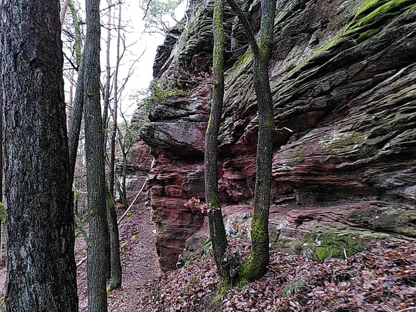 Wasgau-Felsenweg bei Vorderweidenthal und Oberschlettenbach im Pfälzer Wald