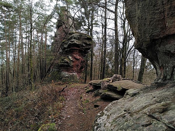 Wasgau-Felsenweg bei Vorderweidenthal und Oberschlettenbach im Pfälzer Wald