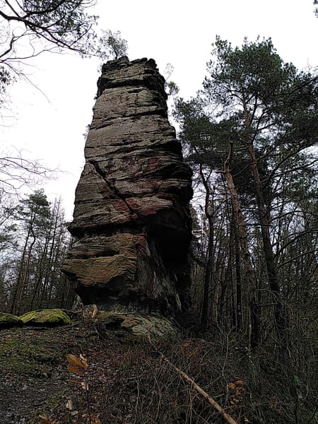 Wasgau-Felsenweg bei Vorderweidenthal und Oberschlettenbach im Pfälzer Wald