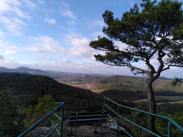 Wasgau-Felsenweg bei Vorderweidenthal und Oberschlettenbach im Pfälzer Wald