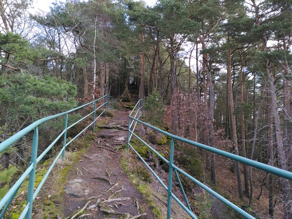 Wasgau-Felsenweg bei Vorderweidenthal und Oberschlettenbach im Pfälzer Wald