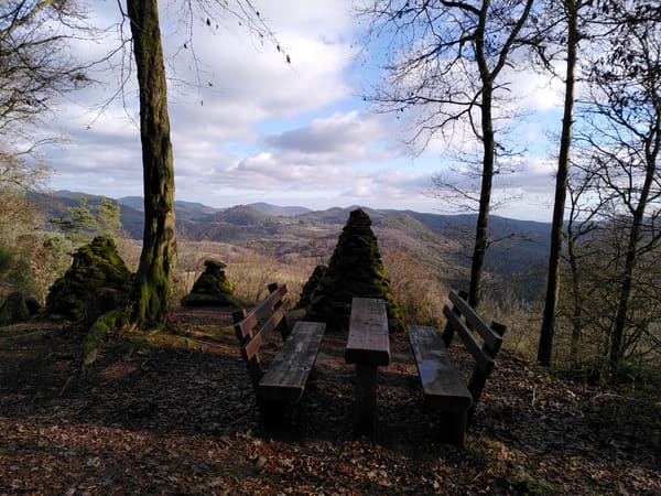 Wasgau-Felsenweg bei Vorderweidenthal und Oberschlettenbach im Pfälzer Wald
