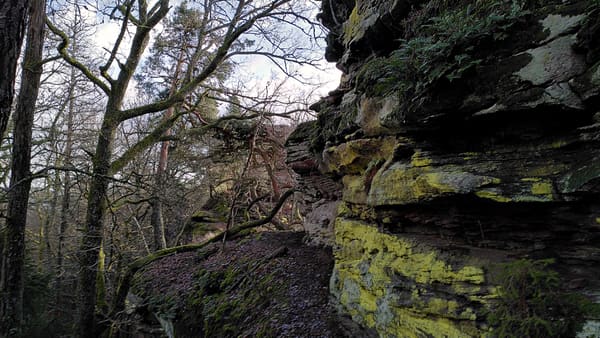 Wasgau-Felsenweg bei Vorderweidenthal und Oberschlettenbach im Pfälzer Wald