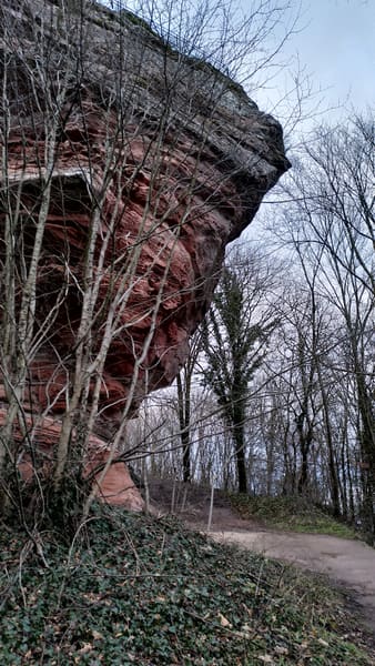 Wasgau-Felsenweg bei Vorderweidenthal und Oberschlettenbach im Pfälzer Wald