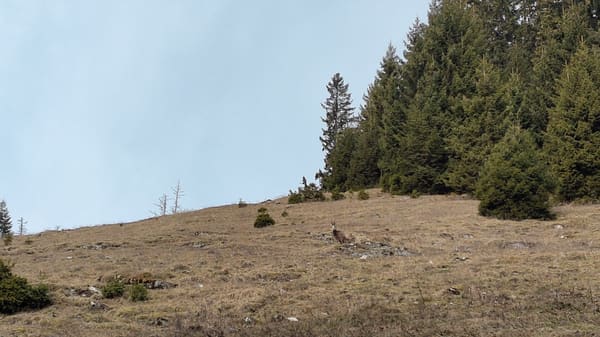 Gipfelwanderung Zinken mit 1a-Panorama über Tannheimer Tal und Allgäuer Alpen