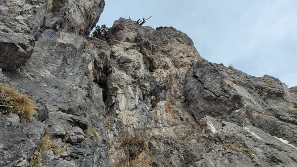 Gipfelwanderung Zinken mit 1a-Panorama über Tannheimer Tal und Allgäuer Alpen