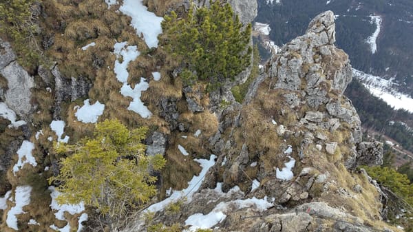 Gipfelwanderung Zinken mit 1a-Panorama über Tannheimer Tal und Allgäuer Alpen