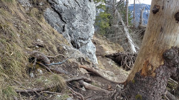 Gipfelwanderung Zinken mit 1a-Panorama über Tannheimer Tal und Allgäuer Alpen