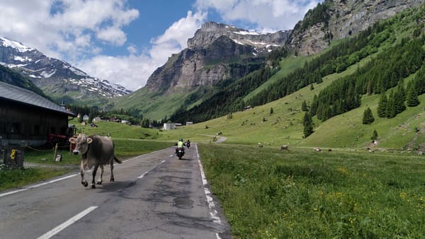 Bikepacking Trans-Schweiz: Von Zürich nach Luzern über den Klausenpass, die Große Scheidegg und die Berner Voralpen