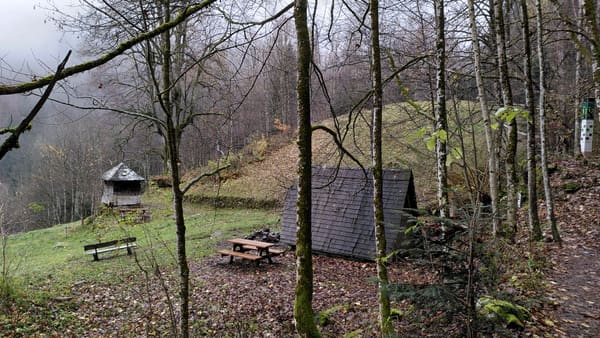 Schwarzwald-Wanderung Zweribachwasserfälle auf nebligen Pfaden
