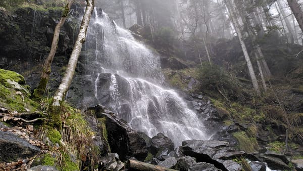 Schwarzwald-Wanderung Zweribachwasserfälle auf nebligen Pfaden