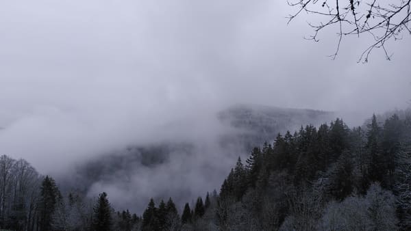 Schwarzwald-Wanderung Zweribachwasserfälle auf nebligen Pfaden