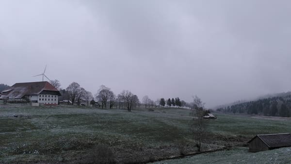 Schwarzwald-Wanderung Zweribachwasserfälle auf nebligen Pfaden