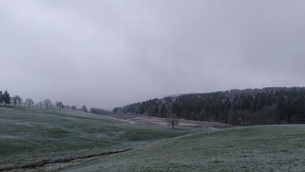 Schwarzwald-Wanderung Zweribachwasserfälle auf nebligen Pfaden