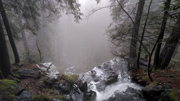Schwarzwald-Wanderung Zweribachwasserfälle auf nebligen Pfaden