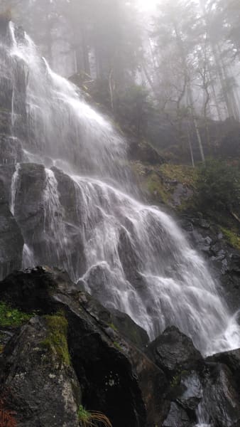 Schwarzwald-Wanderung Zweribachwasserfälle auf nebligen Pfaden