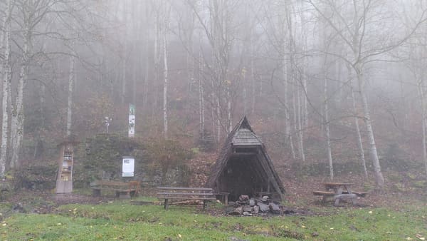 Schwarzwald-Wanderung Zweribachwasserfälle auf nebligen Pfaden