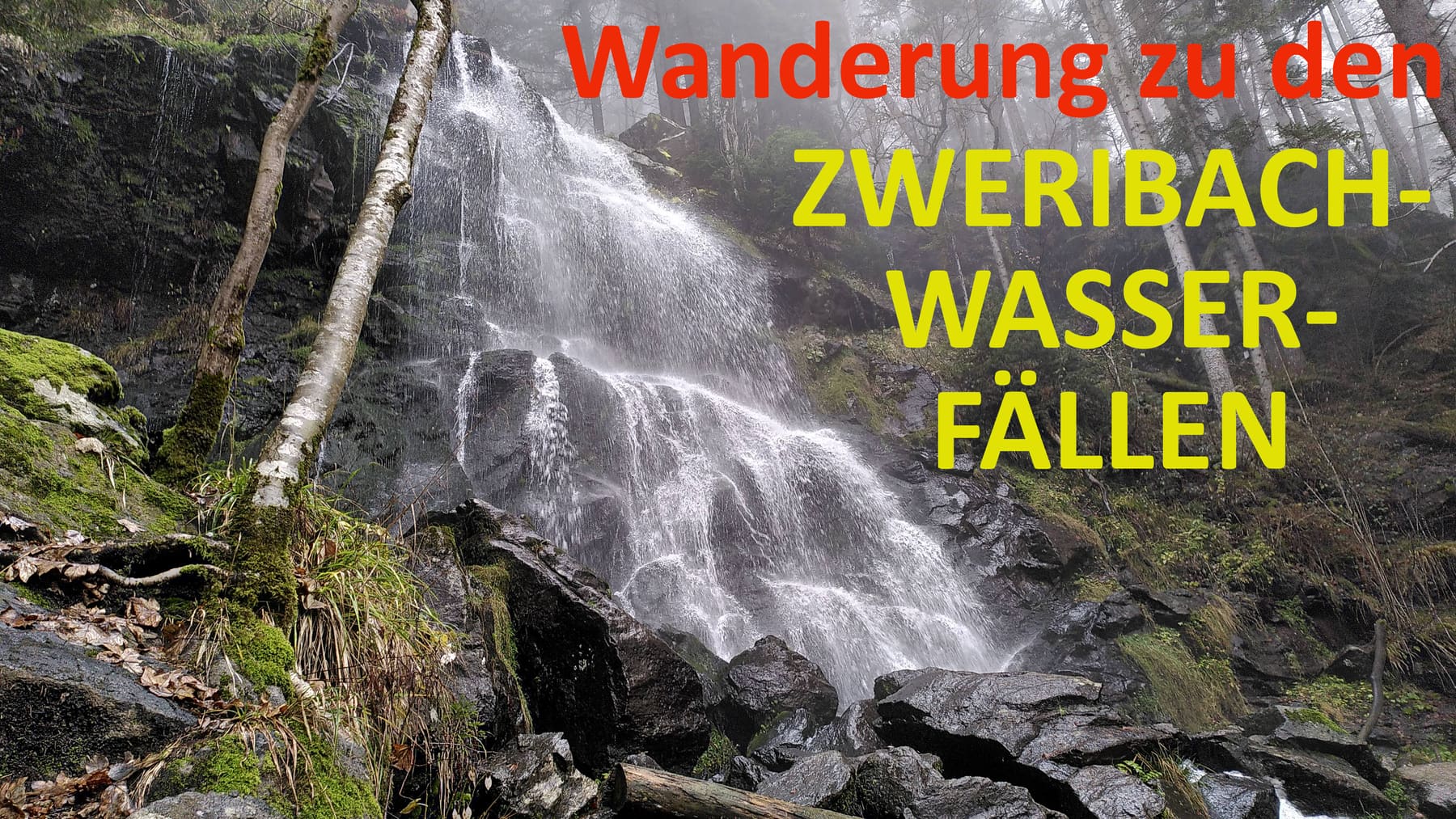Schwarzwald-Wanderung Zweribachwasserfälle auf nebligen Pfaden